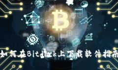 如何在Bitdock上下载软件指