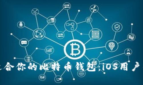 如何选择适合你的比特币钱包：iOS用户的全面指南