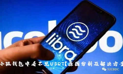 小狐钱包中看不见USDT？原因分析及解决方案