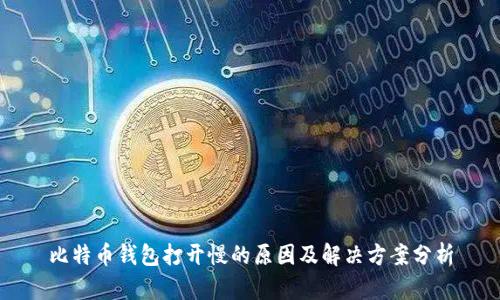 比特币钱包打开慢的原因及解决方案分析