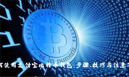 如何使用支付宝比特币钱包：步骤、技巧与注意事项