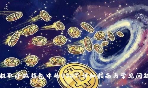 如何提取小狐钱包中的USDT：详细指南与常见问题解答