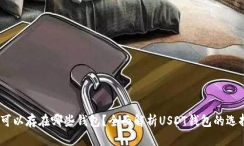 USDT币可以存在哪些钱包？全面解析USDT钱包的选择与使用