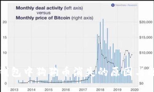 狗狗币钱包中狗狗币消失的原因与解决方案