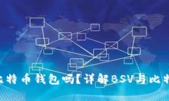 BSV币可以存入比特币钱包