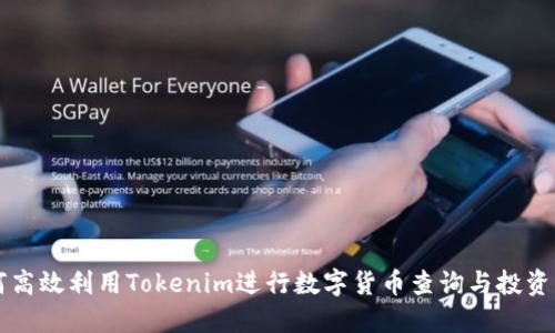 如何高效利用Tokenim进行数字货币查询与投资决策