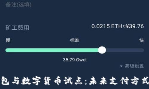   
电子钱包与数字货币试点：未来支付方式的变革