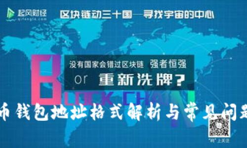 比特币钱包地址格式解析与常见问题解决