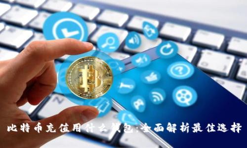 比特币充值用什么钱包：全面解析最佳选择