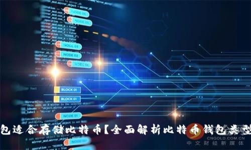 什么钱包适合存储比特币？全面解析比特币钱包类型与选择