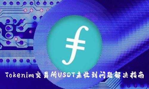 Tokenim交易所USDT未收到问题解决指南