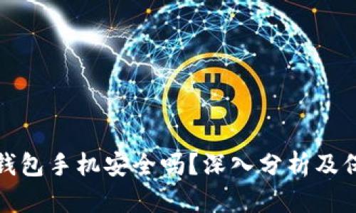 比特币钱包手机安全吗？深入分析及保护措施