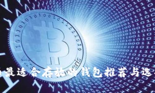 狗狗币最适合存放的钱包推荐与选择指南
