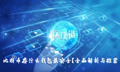 比特币存什么钱包最安全？全面解析与推荐