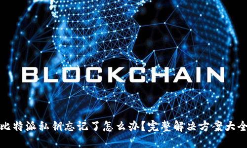 比特派私钥忘记了怎么办？完整解决方案大全