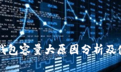 狗狗币钱包容量大原因分析及使用指南