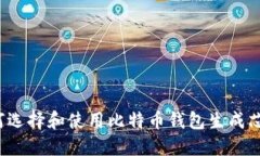 如何选择和使用比特币钱