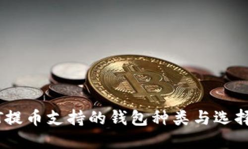 USDT提币支持的钱包种类与选择指南