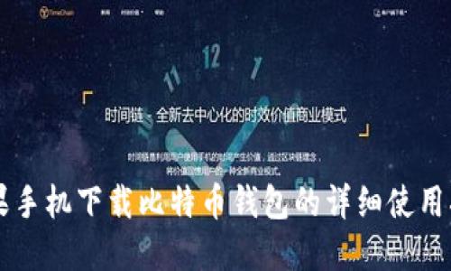 苹果手机下载比特币钱包的详细使用指南