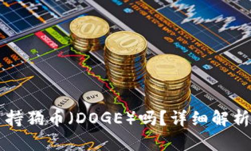 tpWallet支持狗币（DOGE）吗？详细解析与使用指南